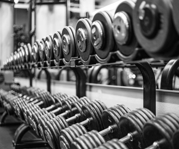 319570183_574815364512607_3181240791430591819_n